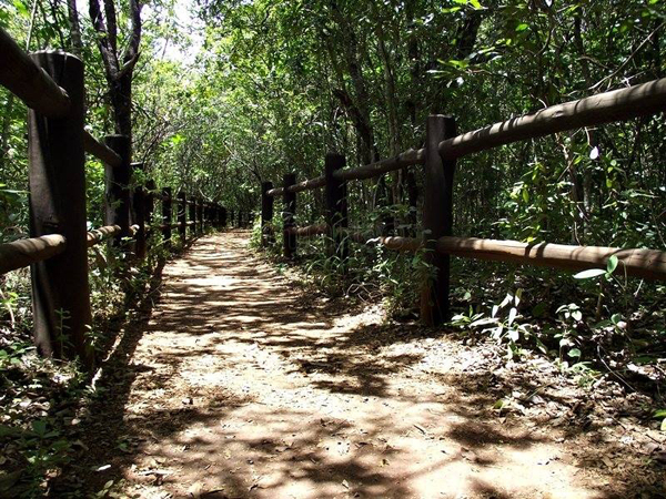 Parque Nacional de Brasília (AGUA MINERAL): Brasilia National Park